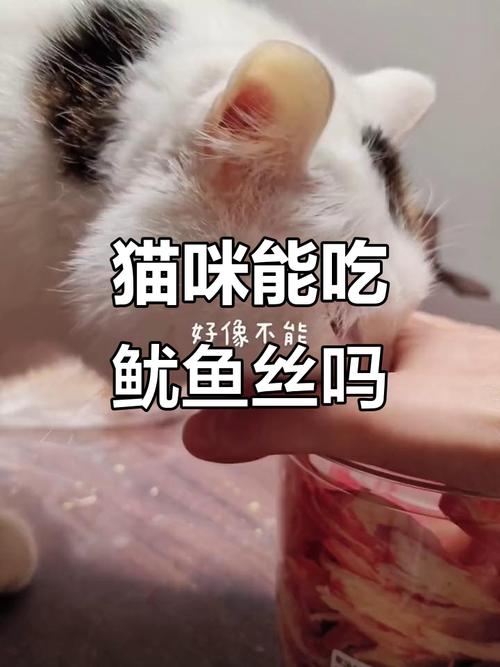 猫咪可以吃鱿鱼吗，猫咪吃鱿鱼吗会怎么样？-第3张图片-后鲨宠物