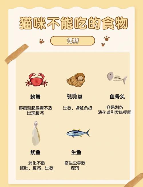 猫咪可以吃鱿鱼吗，猫咪吃鱿鱼吗会怎么样？-第5张图片-后鲨宠物