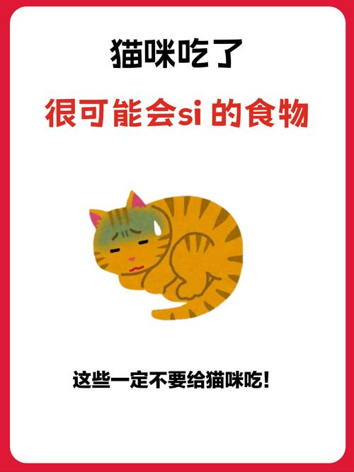 猫咪可以吃鱿鱼吗，猫咪吃鱿鱼吗会怎么样？-第6张图片-后鲨宠物
