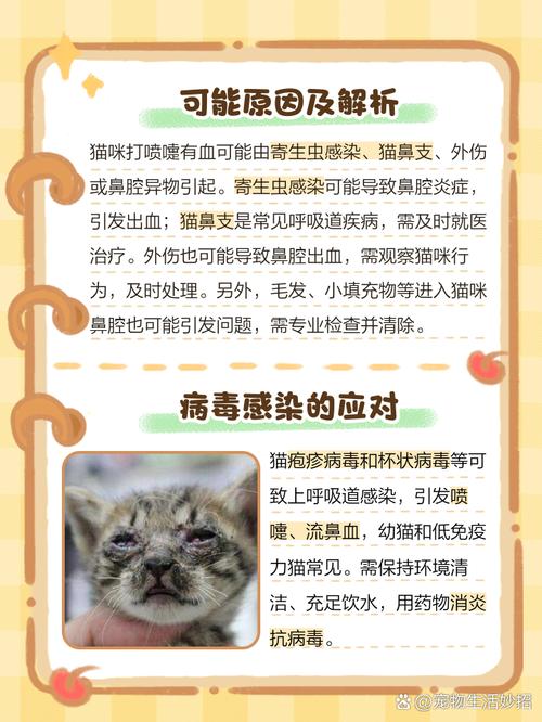 猫咪打喷嚏有血,猫打喷嚏甩出浓稠鼻涕带血?-第5张图片-后鲨宠物 猫咪打喷嚏有血,猫打喷嚏甩出浓稠鼻涕带血?-第5张图片-后鲨宠物