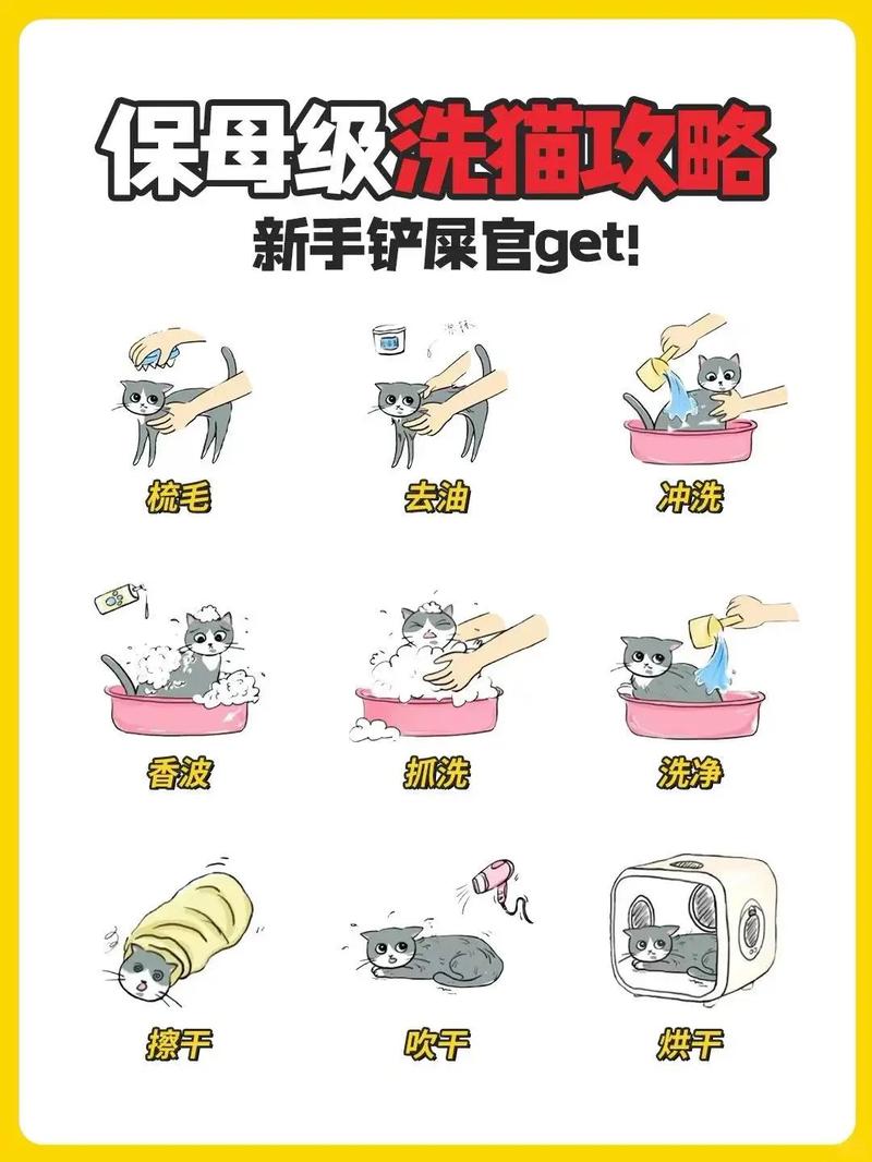 两个月猫咪可以洗澡吗，两个月猫咪可以洗澡吗为什么？-第4张图片-后鲨宠物