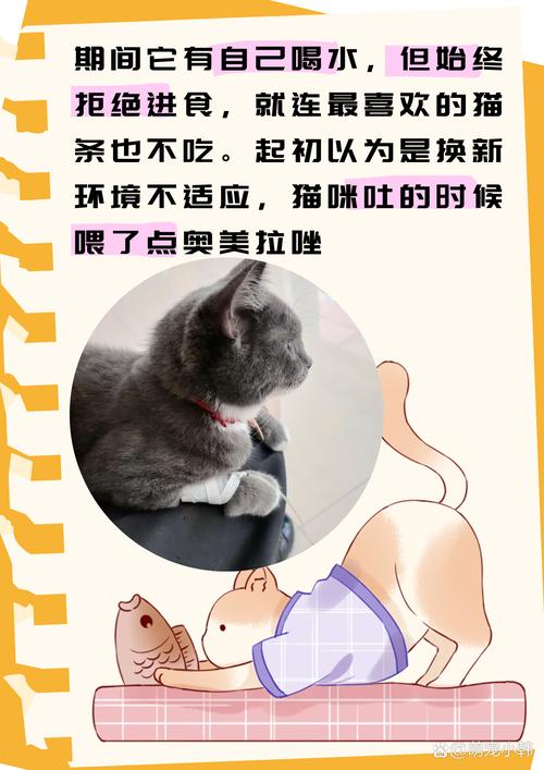 猫咪什么都不吃怎么办_猫咪什么都不吃是什么原因-第2张图片-后鲨宠物
