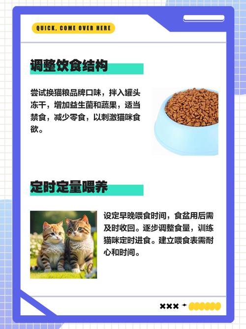 猫咪什么都不吃怎么办_猫咪什么都不吃是什么原因-第5张图片-后鲨宠物