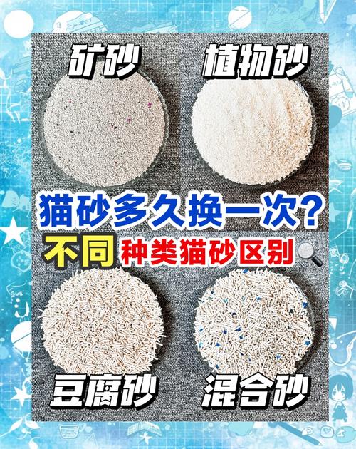 猫咪没有猫砂会憋多久,如果没有猫砂猫会一直憋着吗-第3张图片-后鲨宠物 猫咪没有猫砂会憋多久,如果没有猫砂猫会一直憋着吗-第3张图片-后鲨宠物