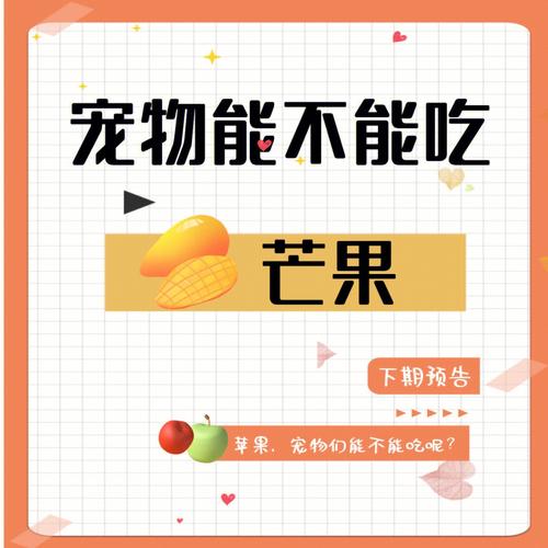 猫咪可以吃芒果干吗_猫咪可以吃芒果干吗ma-第1张图片-后鲨宠物 猫咪可以吃芒果干吗_猫咪可以吃芒果干吗ma-第1张图片-后鲨宠物