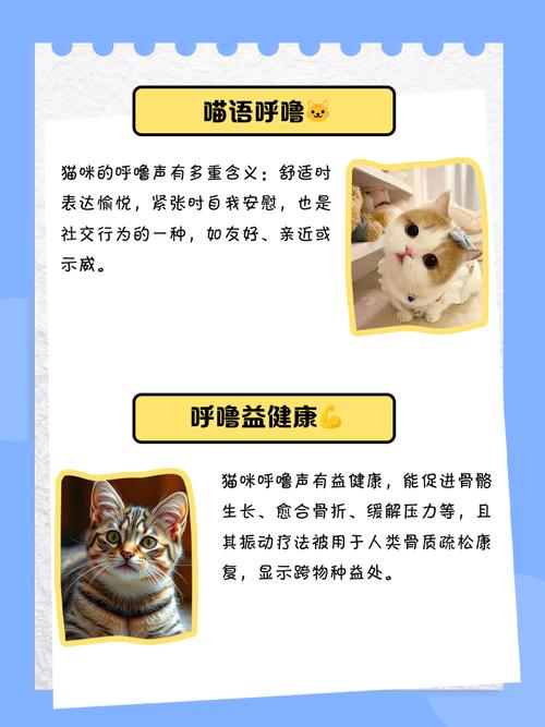猫咪为什么会呼噜，猫为什么会呼噜叫？-第3张图片-后鲨宠物