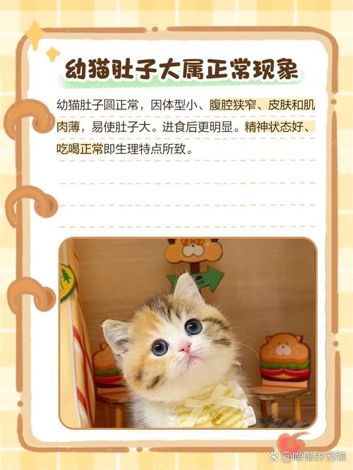 猫咪肚子硬硬的_猫咪肚子硬硬的一摸就叫-第6张图片-后鲨宠物 猫咪肚子硬硬的_猫咪肚子硬硬的一摸就叫-第6张图片-后鲨宠物