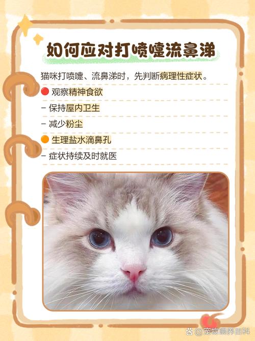 小猫咪一直打喷嚏_小猫咪一直打喷嚏吃什么药-第3张图片-后鲨宠物