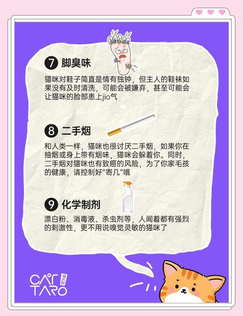  猫咪不喜欢什么味道，猫最不喜欢什么味道闻到就跑