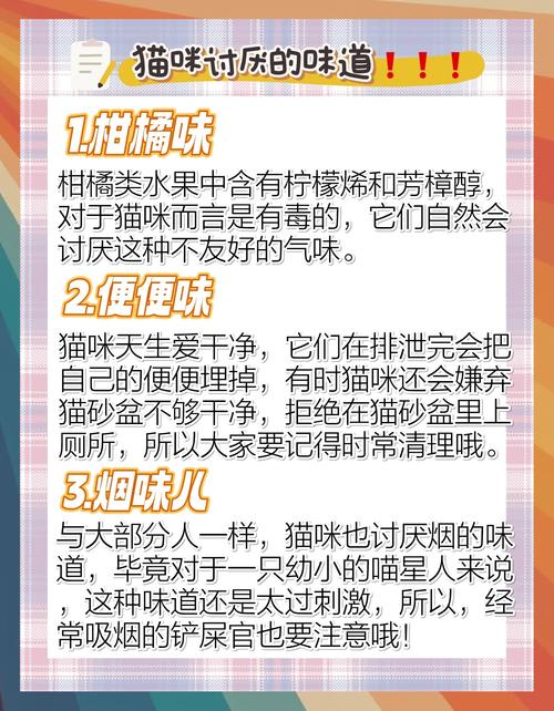  猫咪不喜欢什么味道，猫最不喜欢什么味道闻到就跑-第2张图片-后鲨宠物