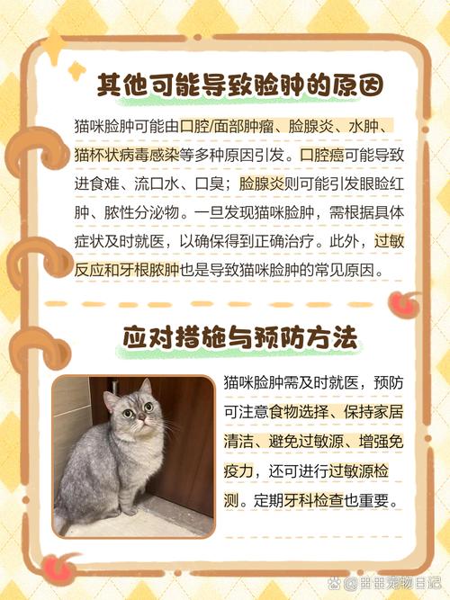 猫咪脸肿了怎么回事_猫咪脸肿了怎么回事很硬-第5张图片-后鲨宠物 猫咪脸肿了怎么回事_猫咪脸肿了怎么回事很硬-第5张图片-后鲨宠物