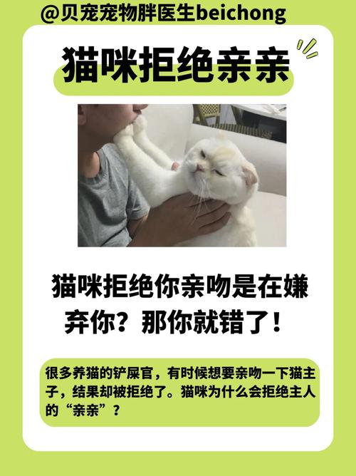  猫咪为什么不喜欢被亲，为什么猫不爱让人亲-第4张图片-后鲨宠物