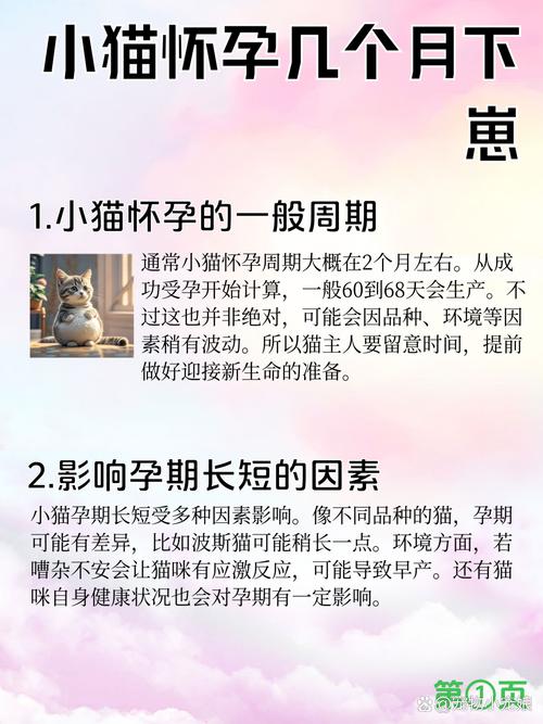 猫咪几个月生小猫,母猫要生产前提示主人-第3张图片-后鲨宠物 猫咪几个月生小猫,母猫要生产前提示主人-第3张图片-后鲨宠物