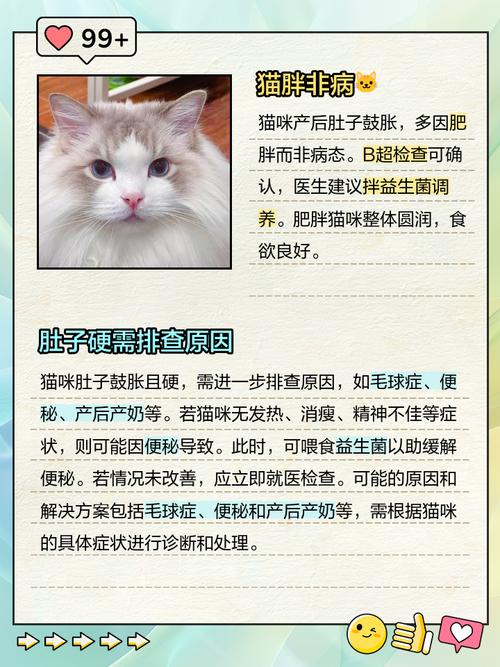 猫咪肚子圆鼓鼓的，猫咪肚子圆鼓鼓的很硬？