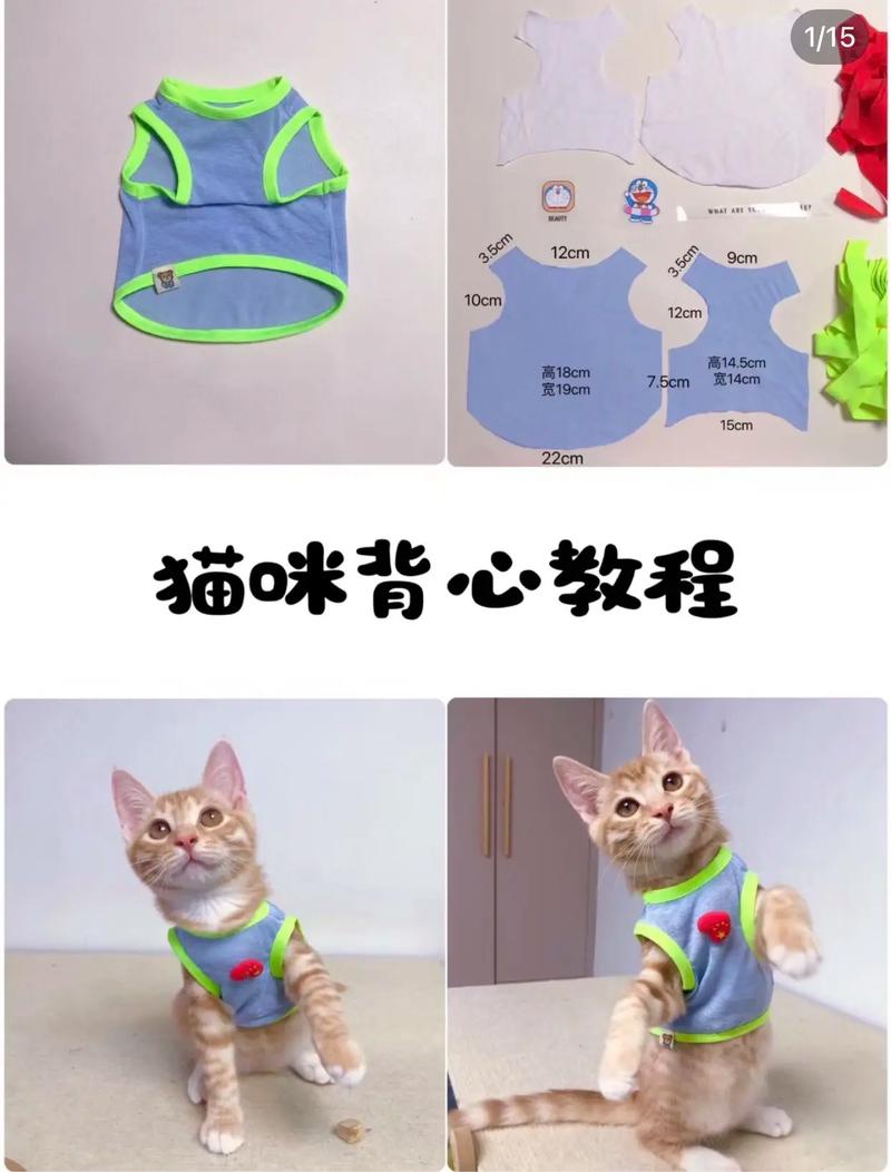猫咪的衣服怎么做，猫咪的衣服怎么做简单又好看不戴帽子？-第2张图片-后鲨宠物