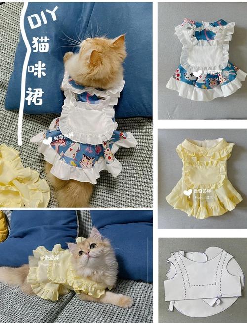 猫咪的衣服怎么做，猫咪的衣服怎么做简单又好看不戴帽子？-第4张图片-后鲨宠物