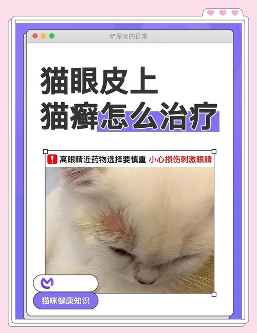 猫咪得猫藓怎么办,猫咪得猫藓怎么治-第6张图片-后鲨宠物 猫咪得猫藓怎么办,猫咪得猫藓怎么治-第6张图片-后鲨宠物