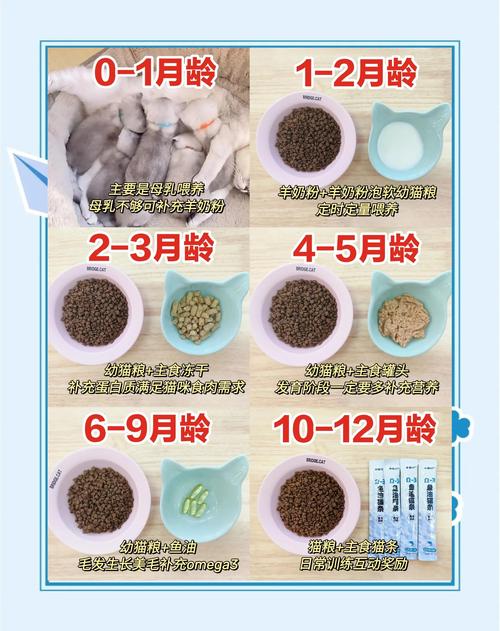 猫咪可以喝柠檬水吗,猫可不可以喝柠檬茶-第6张图片-后鲨宠物 猫咪可以喝柠檬水吗,猫可不可以喝柠檬茶-第6张图片-后鲨宠物