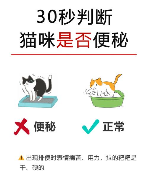 猫咪便秘的表现,猫咪便秘的表现有哪些?-第2张图片-后鲨宠物 猫咪便秘的表现,猫咪便秘的表现有哪些?-第2张图片-后鲨宠物