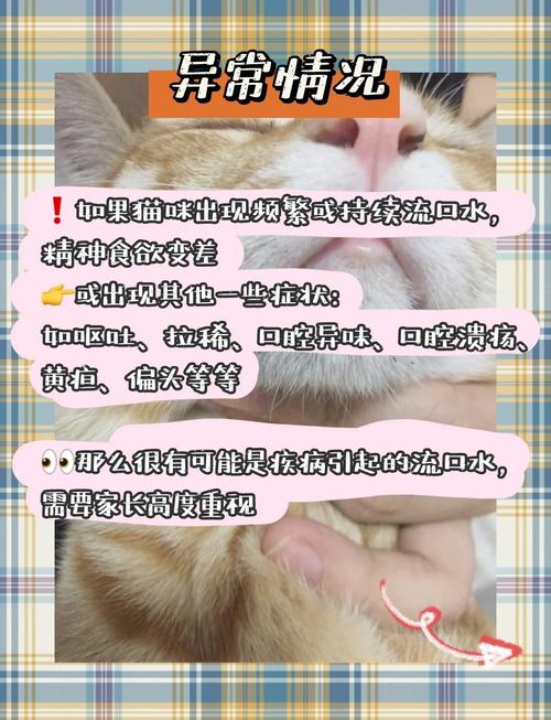 猫猫流口水是什么原因，猫猫流口水什么情况？