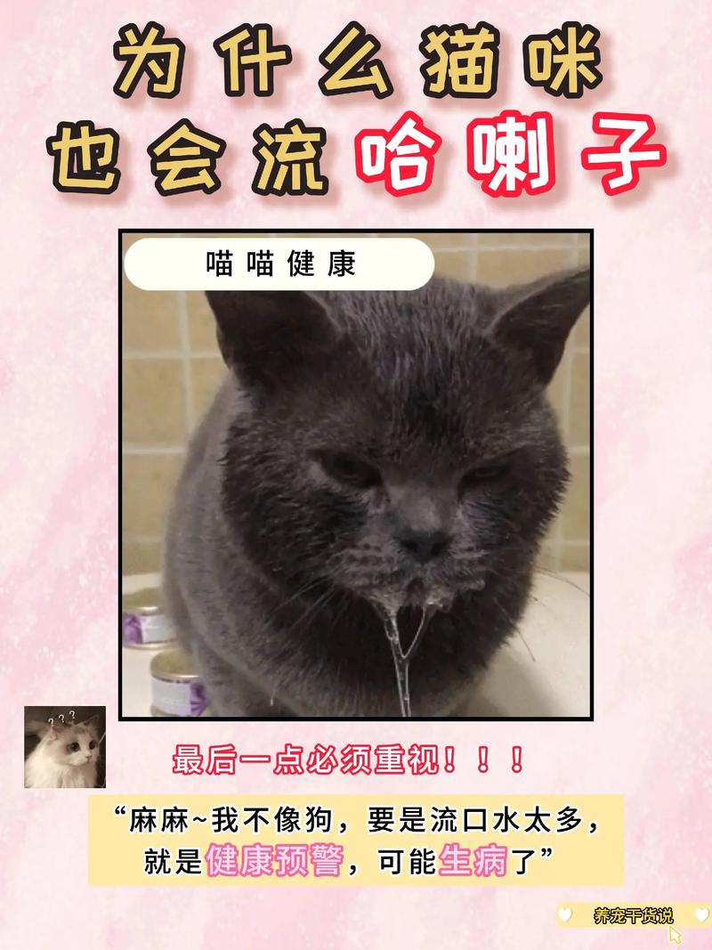 猫猫流口水是什么原因，猫猫流口水什么情况？-第3张图片-后鲨宠物
