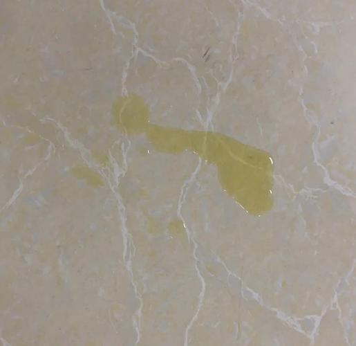 猫咪吐黄水是怎么回事_3个月猫咪吐黄水是怎么回事-第1张图片-后鲨宠物 猫咪吐黄水是怎么回事_3个月猫咪吐黄水是怎么回事-第1张图片-后鲨宠物