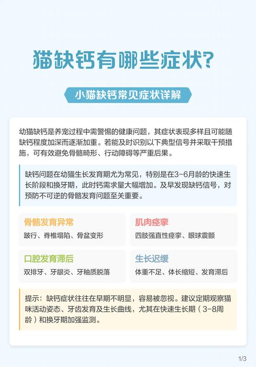 猫咪缺钙的症状有哪些,猫咪缺钙早期症状?-第2张图片-后鲨宠物 猫咪缺钙的症状有哪些,猫咪缺钙早期症状?-第2张图片-后鲨宠物