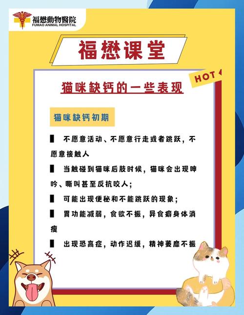 猫咪缺钙的症状有哪些,猫咪缺钙早期症状?-第3张图片-后鲨宠物 猫咪缺钙的症状有哪些,猫咪缺钙早期症状?-第3张图片-后鲨宠物