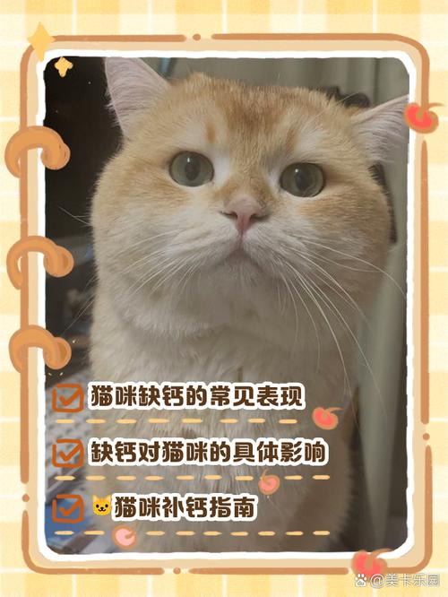 猫咪缺钙的症状有哪些,猫咪缺钙早期症状?-第4张图片-后鲨宠物 猫咪缺钙的症状有哪些,猫咪缺钙早期症状?-第4张图片-后鲨宠物