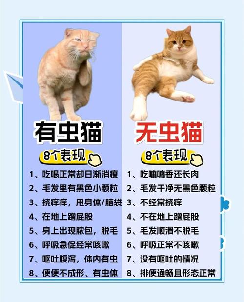 如何给猫咪体外驱虫，如何给猫咪体外驱虫视频？-第5张图片-后鲨宠物