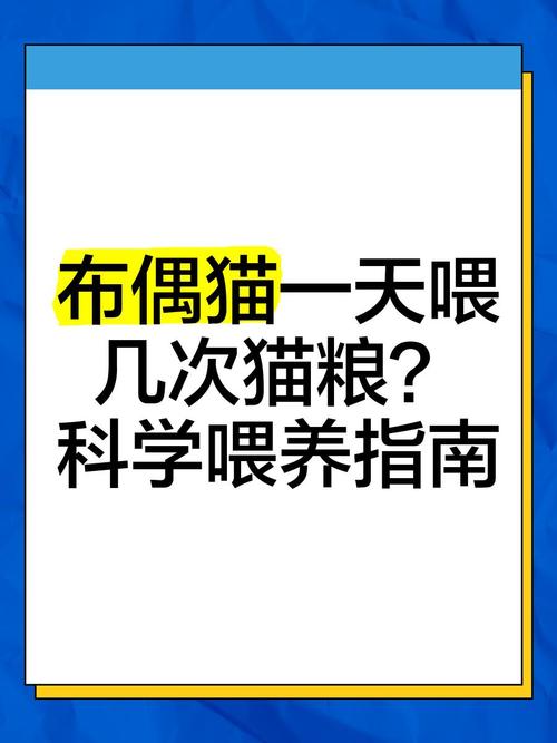 猫猫一天吃多少猫粮_猫猫一天吃多少猫粮合适-第2张图片-后鲨宠物