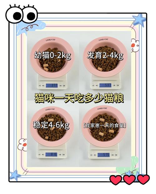 猫猫一天吃多少猫粮_猫猫一天吃多少猫粮合适-第6张图片-后鲨宠物