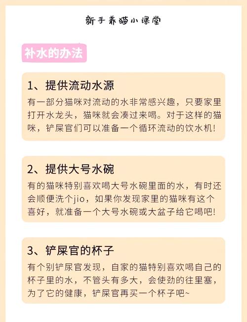 猫咪一天喝多少水_猫咪可以喝生水吗-第5张图片-后鲨宠物 猫咪一天喝多少水_猫咪可以喝生水吗-第5张图片-后鲨宠物