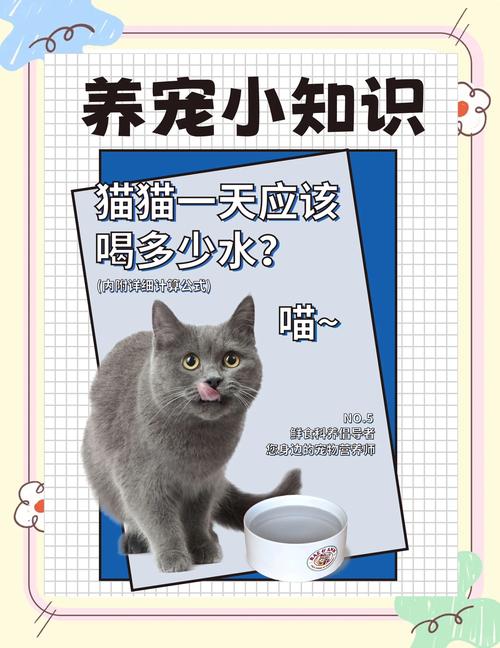 猫咪一天喝多少水_猫咪可以喝生水吗-第6张图片-后鲨宠物 猫咪一天喝多少水_猫咪可以喝生水吗-第6张图片-后鲨宠物