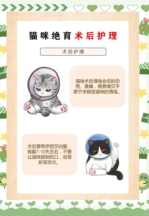 猫咪绝育后怎么照顾,猫咪绝育后怎么照顾它-第6张图片-后鲨宠物 猫咪绝育后怎么照顾,猫咪绝育后怎么照顾它-第6张图片-后鲨宠物