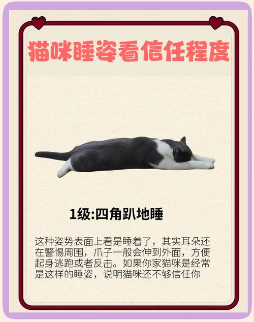  猫咪睡姿代表什么，猫咪睡觉的姿势代表什么