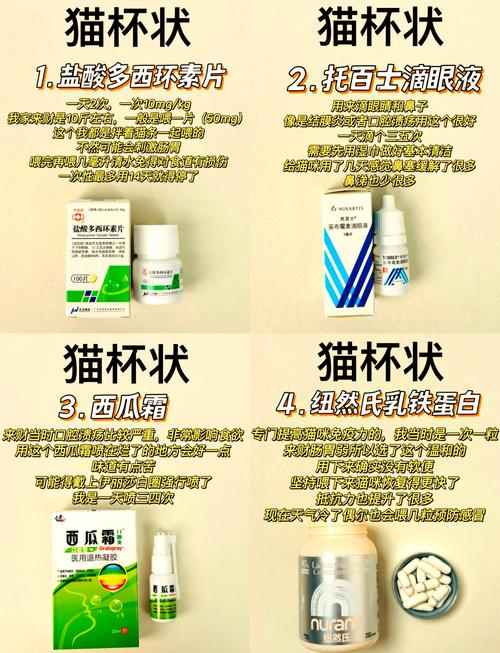 猫咪杯状病毒怎么治疗,猫咪杯状病毒怎么治疗根除-第2张图片-后鲨宠物 猫咪杯状病毒怎么治疗,猫咪杯状病毒怎么治疗根除-第2张图片-后鲨宠物