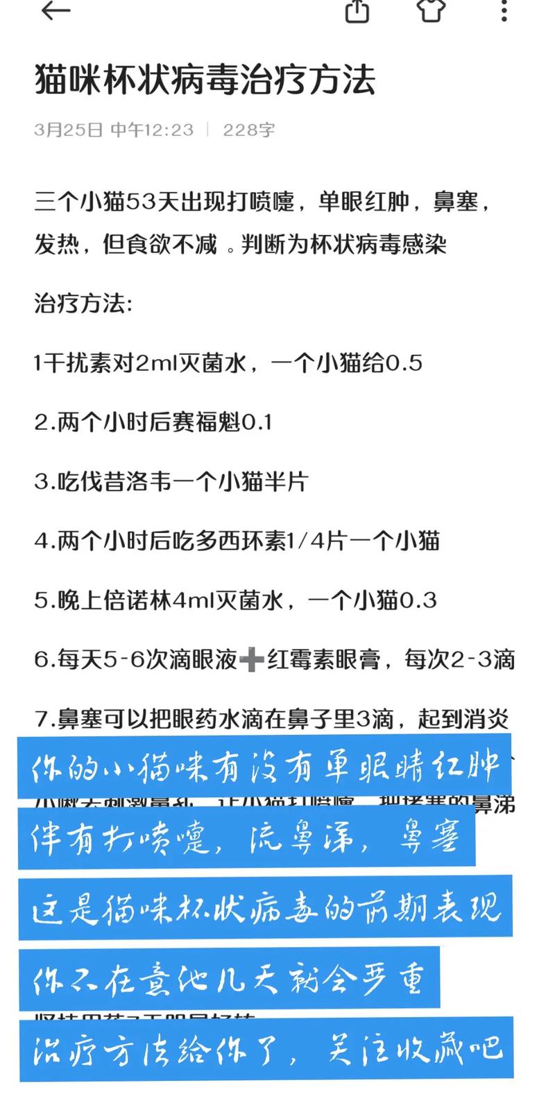 猫咪杯状病毒怎么治疗,猫咪杯状病毒怎么治疗根除-第3张图片-后鲨宠物 猫咪杯状病毒怎么治疗,猫咪杯状病毒怎么治疗根除-第3张图片-后鲨宠物