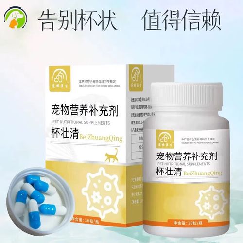 猫咪杯状病毒怎么治疗,猫咪杯状病毒怎么治疗根除-第5张图片-后鲨宠物 猫咪杯状病毒怎么治疗,猫咪杯状病毒怎么治疗根除-第5张图片-后鲨宠物