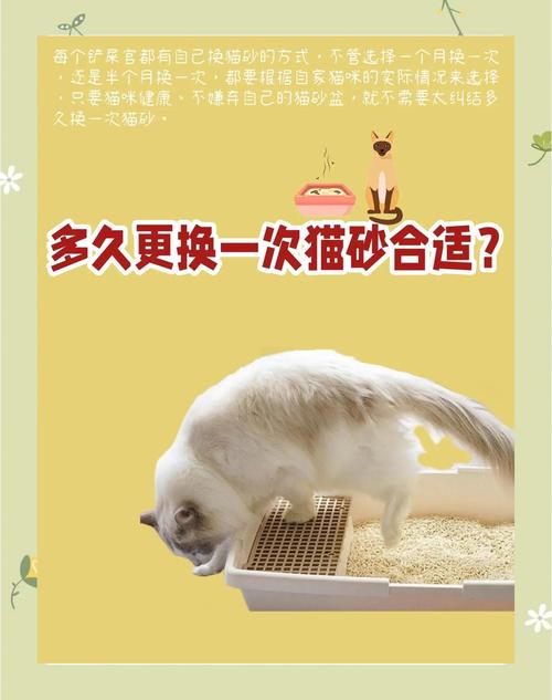 猫咪多大会用猫砂,猫多大学会用猫砂?-第2张图片-后鲨宠物 猫咪多大会用猫砂,猫多大学会用猫砂?-第2张图片-后鲨宠物