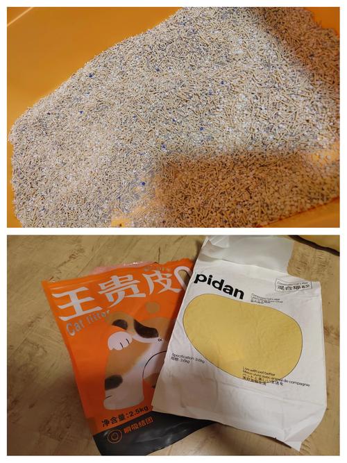 猫咪多大会用猫砂,猫多大学会用猫砂?-第3张图片-后鲨宠物 猫咪多大会用猫砂,猫多大学会用猫砂?-第3张图片-后鲨宠物