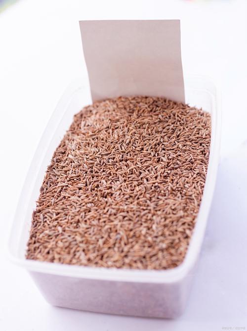 猫咪多大会用猫砂,猫多大学会用猫砂?-第5张图片-后鲨宠物 猫咪多大会用猫砂,猫多大学会用猫砂?-第5张图片-后鲨宠物