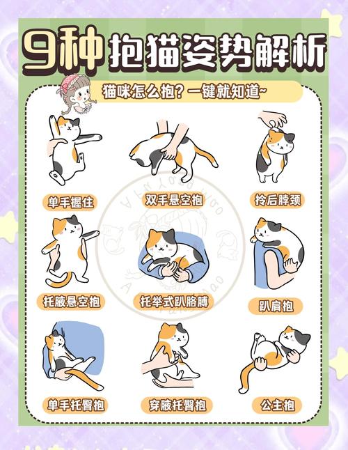  猫咪舒服的表现，猫舒服的时候会发出什么声音