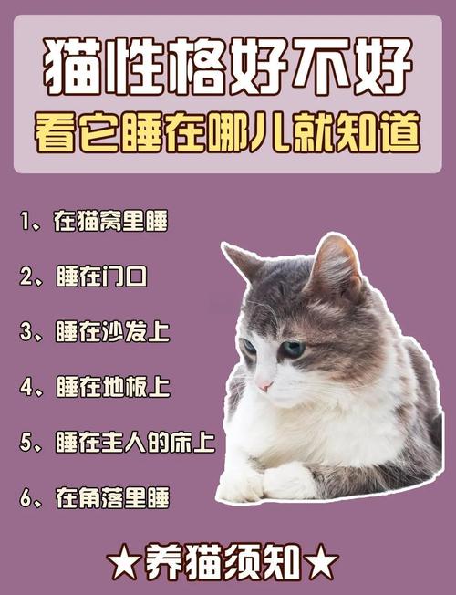  猫咪舒服的表现，猫舒服的时候会发出什么声音-第2张图片-后鲨宠物