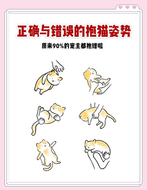  猫咪舒服的表现，猫舒服的时候会发出什么声音-第3张图片-后鲨宠物