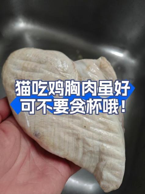 猫咪吃鸡胸肉好吗_猫吃鸡胸肉可以么-第4张图片-后鲨宠物