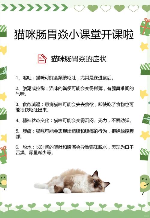 猫咪肠胃炎怎么治，猫咪肠胃炎治疗要多少钱？-第4张图片-后鲨宠物
