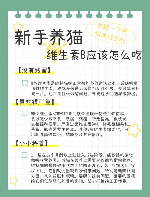 猫咪怎么补充维生素b_小猫如何补充维生素b-第2张图片-后鲨宠物