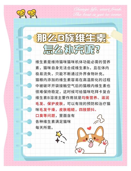 猫咪怎么补充维生素b_小猫如何补充维生素b-第4张图片-后鲨宠物
