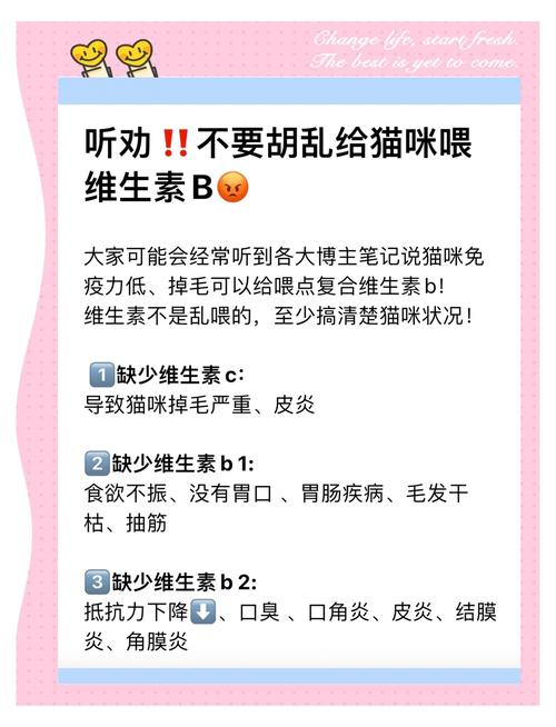 猫咪怎么补充维生素b_小猫如何补充维生素b-第5张图片-后鲨宠物